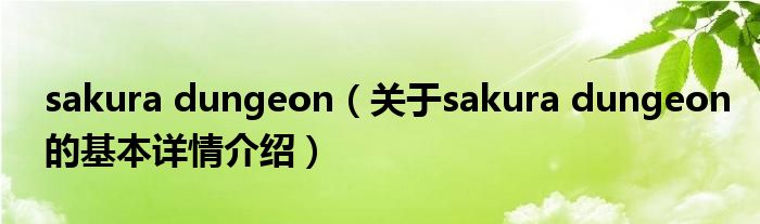 sakura dungeon（关于sakura dungeon的基本详情介绍）