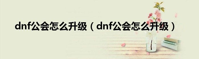 dnf公会怎么升级（dnf公会怎么升级）