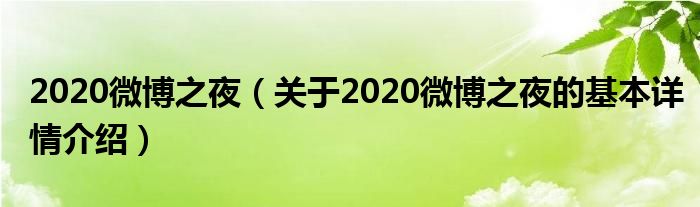 2020微博之夜（关于2020微博之夜的基本详情介绍）