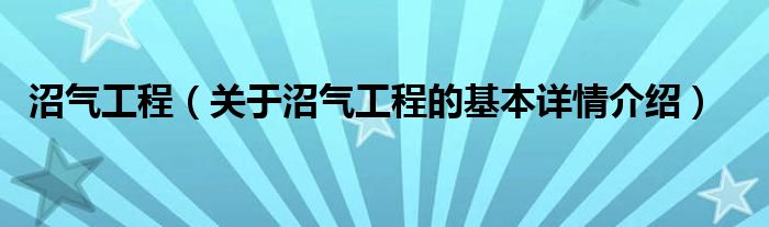 沼气工程（关于沼气工程的基本详情介绍）