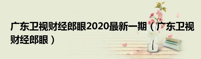 广东卫视财经郎眼2020最新一期（广东卫视财经郎眼）