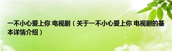 一不小心爱上你 电视剧（关于一不小心爱上你 电视剧的基本详情介绍）
