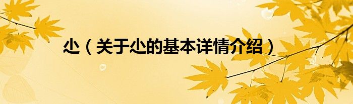 尐（关于尐的基本详情介绍）