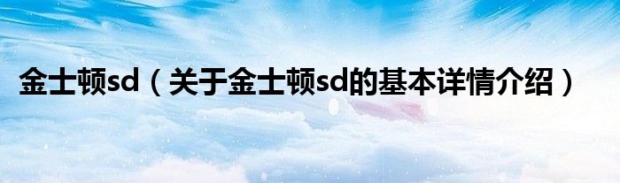 金士顿sd（关于金士顿sd的基本详情介绍）