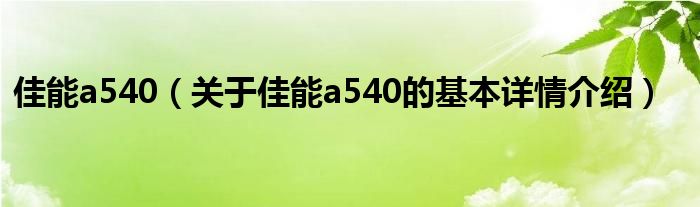 佳能a540（关于佳能a540的基本详情介绍）