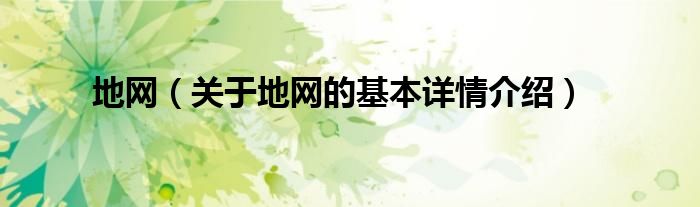 地网（关于地网的基本详情介绍）