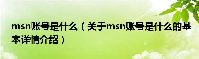 msn账号是什么（关于msn账号是什么的基本详情介绍）
