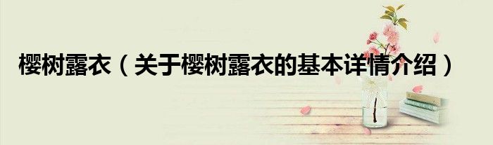 樱树露衣（关于樱树露衣的基本详情介绍）