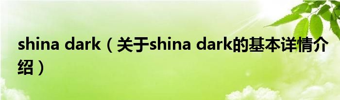 shina dark（关于shina dark的基本详情介绍）