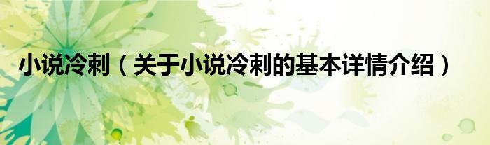 小说冷刺（关于小说冷刺的基本详情介绍）