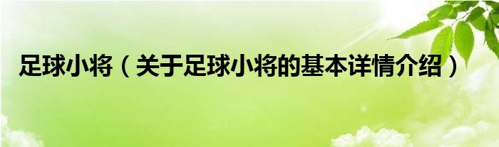足球小将（关于足球小将的基本详情介绍）