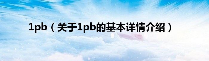 1pb（关于1pb的基本详情介绍）