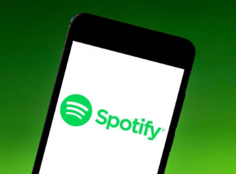 Spotify测试新功能你的离线混音