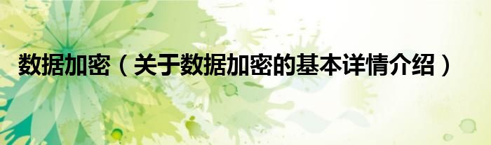 数据加密（关于数据加密的基本详情介绍）