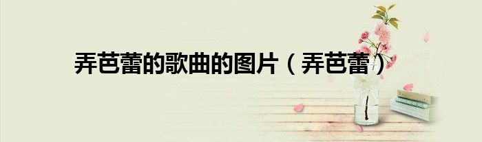弄芭蕾的歌曲的图片（弄芭蕾）