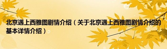 北京遇上西雅图剧情介绍（关于北京遇上西雅图剧情介绍的基本详情介绍）