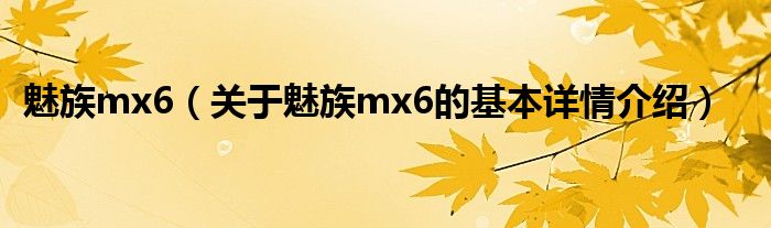 魅族mx6（关于魅族mx6的基本详情介绍）
