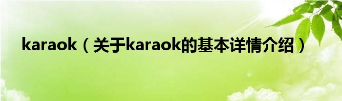 karaok（关于karaok的基本详情介绍）