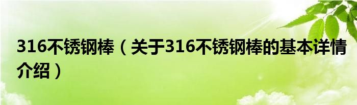 316不锈钢棒（关于316不锈钢棒的基本详情介绍）