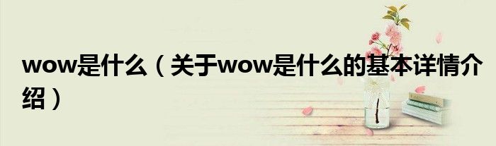 wow是什么（关于wow是什么的基本详情介绍）