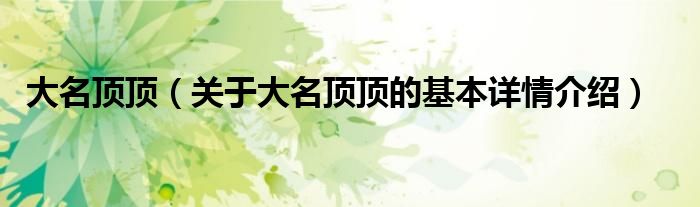 大名顶顶（关于大名顶顶的基本详情介绍）