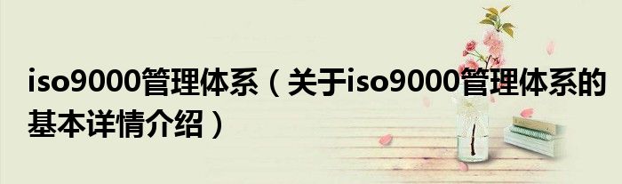 iso9000管理体系（关于iso9000管理体系的基本详情介绍）