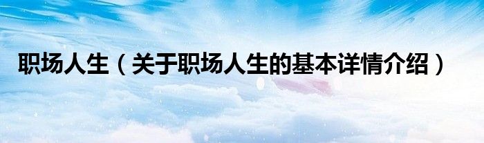 职场人生（关于职场人生的基本详情介绍）