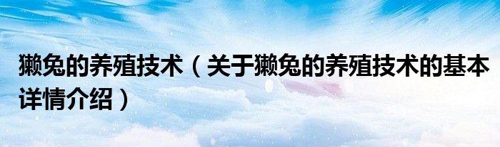 獭兔的养殖技术（关于獭兔的养殖技术的基本详情介绍）