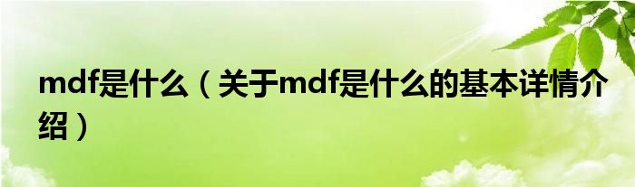 mdf是什么（关于mdf是什么的基本详情介绍）