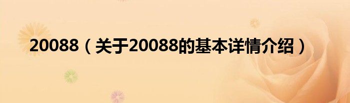 20088（关于20088的基本详情介绍）