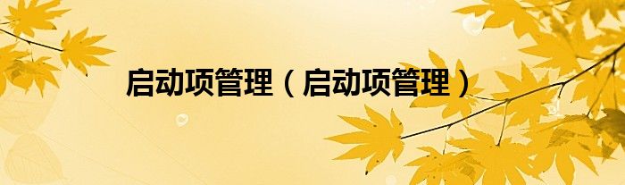 启动项管理（启动项管理）