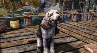 Skyrim必备模组让您与龙裔最好的朋友团结起来