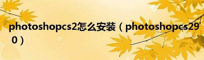 photoshopcs2怎么安装（photoshopcs29 0）