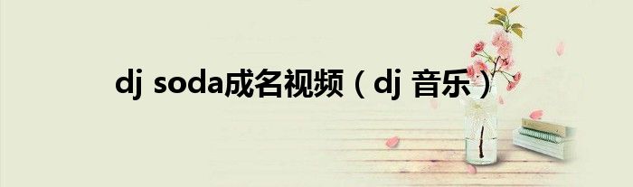 dj soda成名视频（dj 音乐）