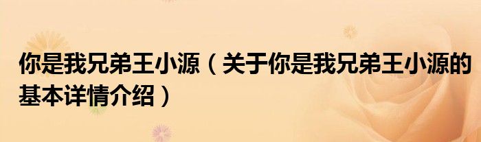 你是我兄弟王小源（关于你是我兄弟王小源的基本详情介绍）