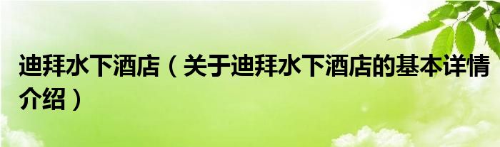 迪拜水下酒店（关于迪拜水下酒店的基本详情介绍）