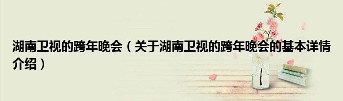 湖南卫视的跨年晚会（关于湖南卫视的跨年晚会的基本详情介绍）
