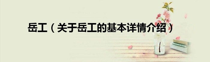 岳工（关于岳工的基本详情介绍）