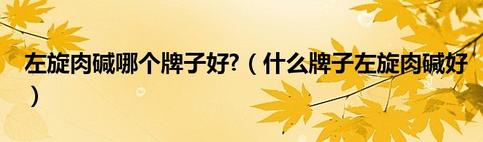 左旋肉碱哪个牌子好?（什么牌子左旋肉碱好）