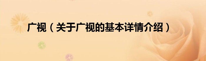 广视（关于广视的基本详情介绍）