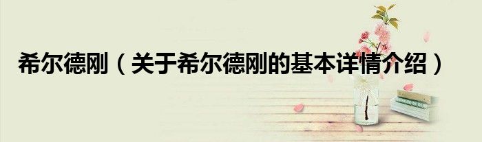 希尔德刚（关于希尔德刚的基本详情介绍）