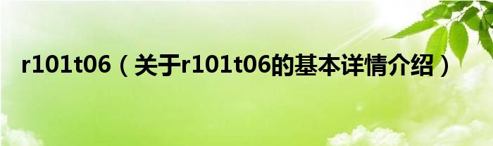 r101t06（关于r101t06的基本详情介绍）