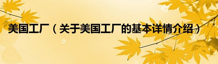 美国工厂（关于美国工厂的基本详情介绍）