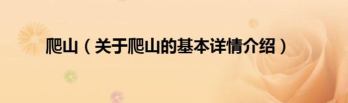 爬山（关于爬山的基本详情介绍）