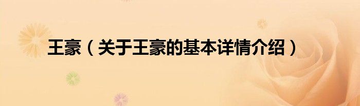 王豪（关于王豪的基本详情介绍）