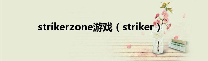 strikerzone游戏（striker）
