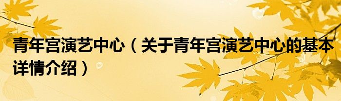 青年宫演艺中心（关于青年宫演艺中心的基本详情介绍）