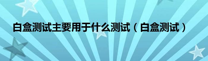 白盒测试主要用于什么测试（白盒测试）