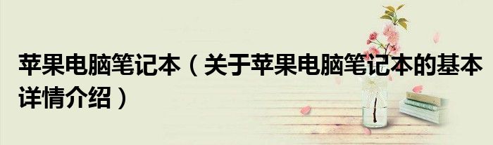 苹果电脑笔记本（关于苹果电脑笔记本的基本详情介绍）
