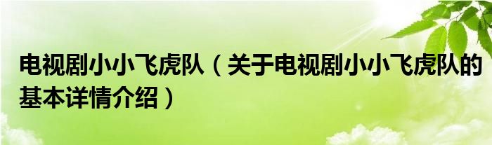 电视剧小小飞虎队（关于电视剧小小飞虎队的基本详情介绍）